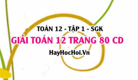 Giải Toán 12 trang 80 tập 1 Cánh Diều